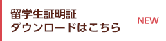 留学生証明証　ダウンロードはこちら